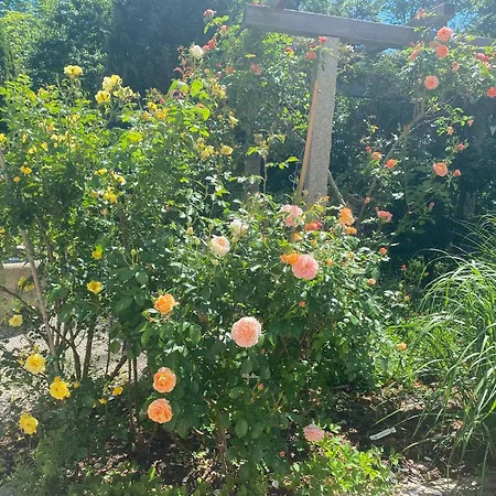 Jardin Im Kunsthaus Apartman *