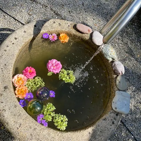 Daire Jardin Im Kunsthaus