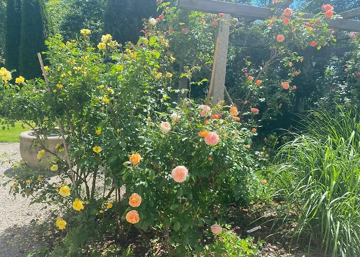 Jardin Im Kunsthaus Lejlighed *